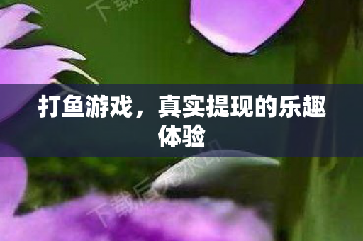 打鱼游戏,真实提现的乐趣体验 打鱼游戏,真实提现的乐趣体验