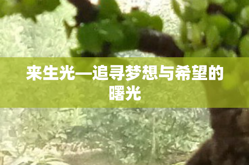来生光—追寻梦想与希望的曙光 来生光—追寻梦想与希望的曙光