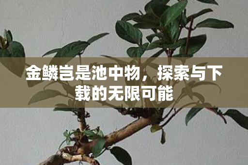 金鳞岂是池中物,探索与下载的无限可能 金鳞岂是池中物,探索与下载的无限可能