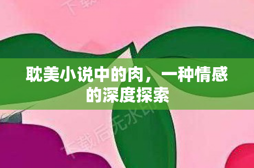 耽美小说中的肉,一种情感的深度探索 耽美小说中的肉,一种情感的深度探索