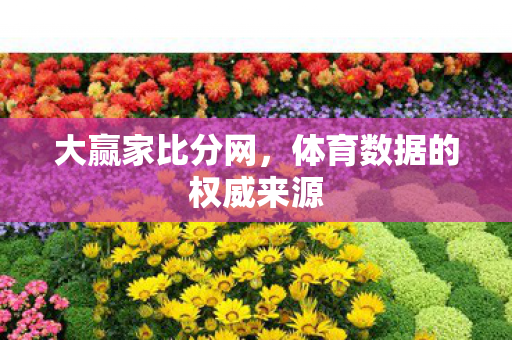 大赢家比分网，体育数据的权威来源