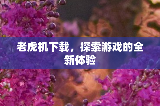 老虎机下载,探索游戏的全新体验 老虎机下载,探索游戏的全新体验