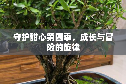 守护甜心第四季，成长与冒险的旋律