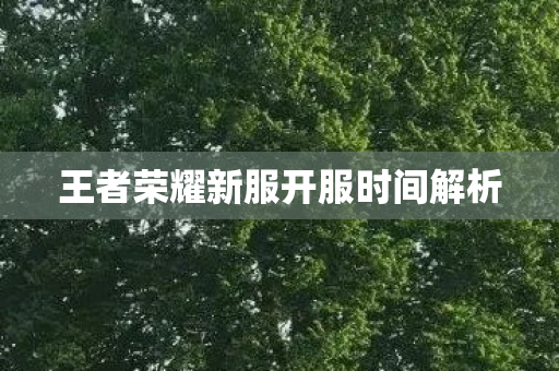 王者荣耀新服开服时间解析 王者荣耀新服开服时间解析