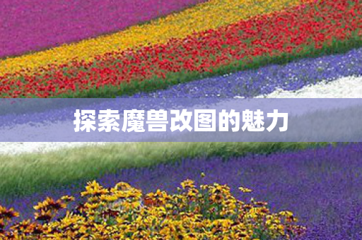 探索魔兽改图的魅力 探索魔兽改图的魅力
