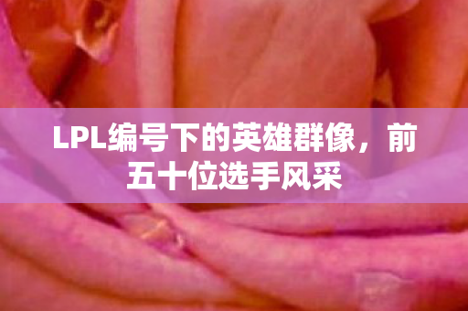 LPL编号下的英雄群像,前五十位选手风采 LPL编号下的英雄群像,前五十位选手风采
