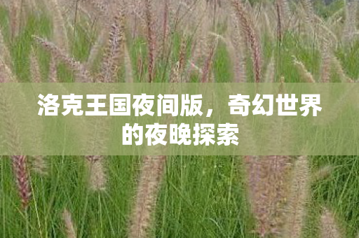 洛克王国夜间版，奇幻世界的夜晚探索