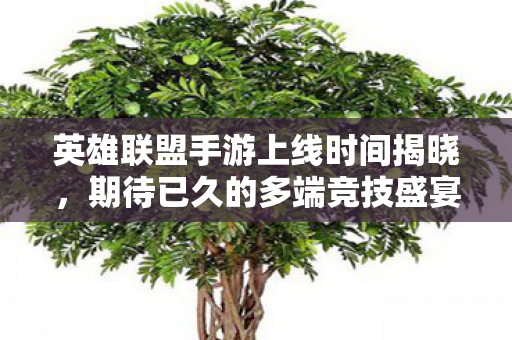 英雄联盟手游上线时间揭晓,期待已久的多端竞技盛宴即将开启 英雄联盟手游上线时间揭晓,期待已久的多端竞技盛宴即将开启