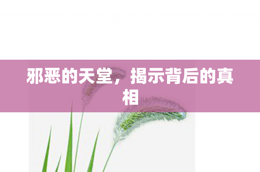 邪恶的天堂,揭示背后的真相 邪恶的天堂,揭示背后的真相