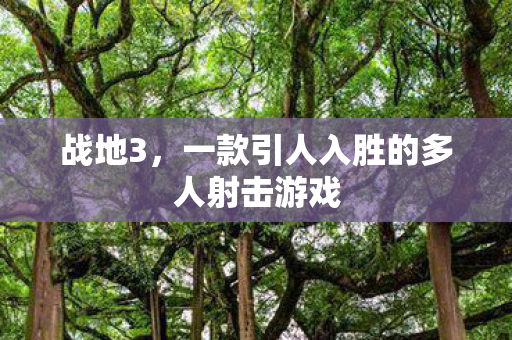 战地3,一款引人入胜的多人射击游戏 战地3,一款引人入胜的多人射击游戏