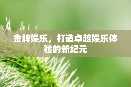 金牌娱乐,打造卓越娱乐体验的新纪元 金牌娱乐,打造卓越娱乐体验的新纪元