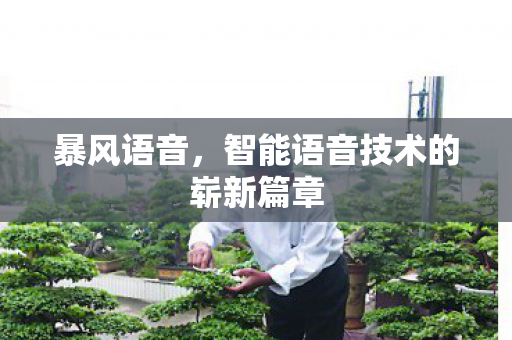暴风语音,智能语音技术的崭新篇章 暴风语音,智能语音技术的崭新篇章