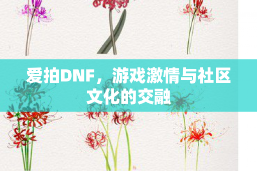 爱拍DNF,游戏激情与社区文化的交融 爱拍DNF,游戏激情与社区文化的交融