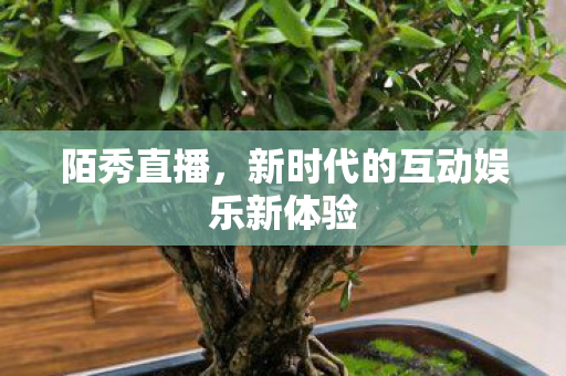 陌秀直播，新时代的互动娱乐新体验