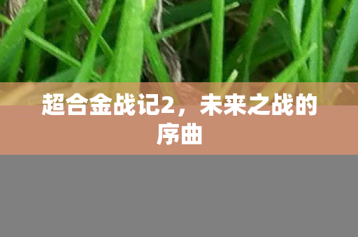 超合金战记2,未来之战的序曲 超合金战记2,未来之战的序曲