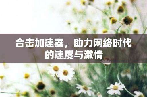 合击加速器,助力网络时代的速度与激情 合击加速器,助力网络时代的速度与激情