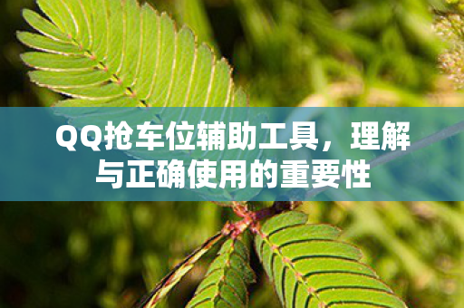 QQ抢车位辅助工具,理解与正确使用的重要性 QQ抢车位辅助工具,理解与正确使用的重要性