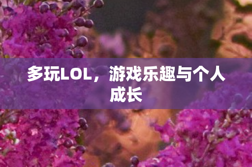 多玩LOL,游戏乐趣与个人成长 多玩LOL,游戏乐趣与个人成长