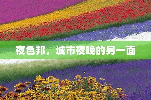夜色邦,城市夜晚的另一面 夜色邦,城市夜晚的另一面