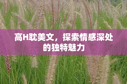 高H耽美文,探索情感深处的独特魅力 高H耽美文,探索情感深处的独特魅力