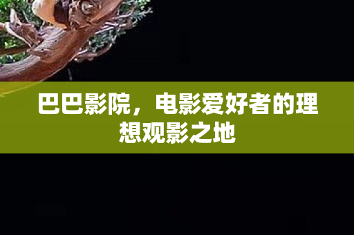 巴巴影院,电影爱好者的理想观影之地 巴巴影院,电影爱好者的理想观影之地