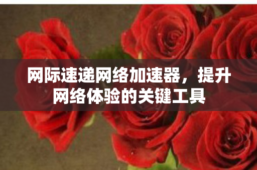 网际速递网络加速器,提升网络体验的关键工具 网际速递网络加速器,提升网络体验的关键工具