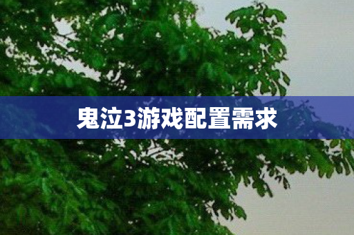 鬼泣3游戏配置需求
