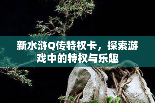 新水浒Q传特权卡，探索游戏中的特权与乐趣