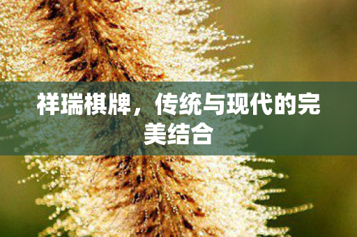 祥瑞棋牌,传统与现代的完美结合 祥瑞棋牌,传统与现代的完美结合