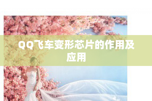 QQ飞车变形芯片的作用及应用 QQ飞车变形芯片的作用及应用