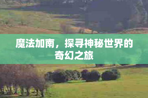 魔法加南,探寻神秘世界的奇幻之旅 魔法加南,探寻神秘世界的奇幻之旅
