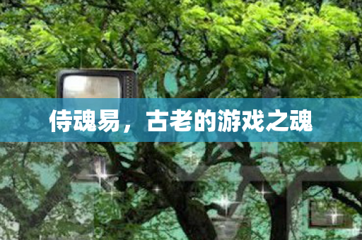 侍魂易,古老的游戏之魂 侍魂易,古老的游戏之魂