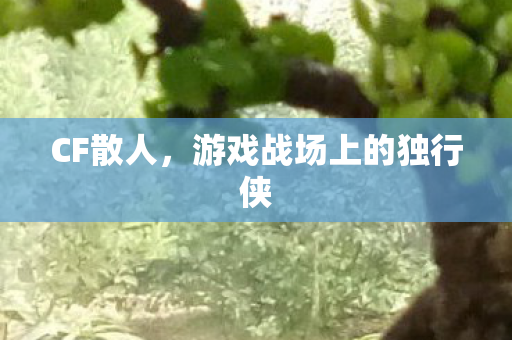 CF散人,游戏战场上的独行侠 CF散人,游戏战场上的独行侠