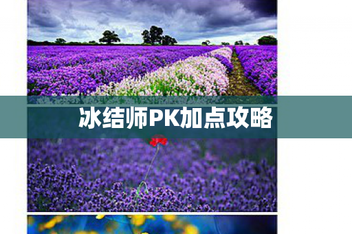 冰结师PK加点攻略 冰结师PK加点攻略