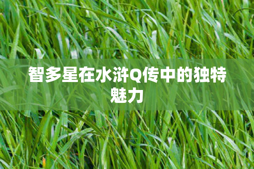 智多星在水浒Q传中的独特魅力 智多星在水浒Q传中的独特魅力