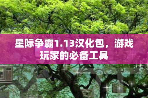 星际争霸1.13汉化包,游戏玩家的必备工具 星际争霸1.13汉化包,游戏玩家的必备工具