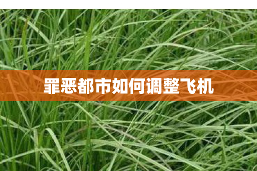 罪恶都市如何调整飞机 罪恶都市如何调整飞机