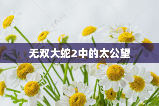 无双大蛇2中的太公望