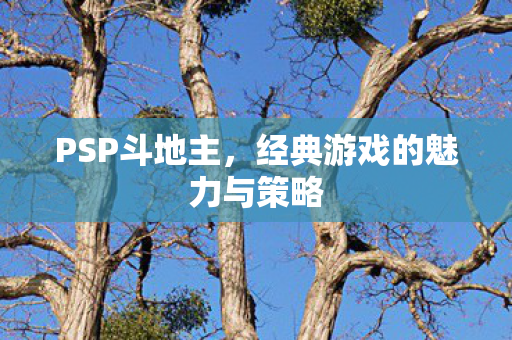 PSP斗地主,经典游戏的魅力与策略 PSP斗地主,经典游戏的魅力与策略