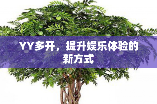 YY多开,提升娱乐体验的新方式 YY多开,提升娱乐体验的新方式
