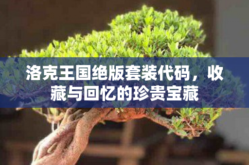 洛克王国绝版套装代码,收藏与回忆的珍贵宝藏 洛克王国绝版套装代码,收藏与回忆的珍贵宝藏