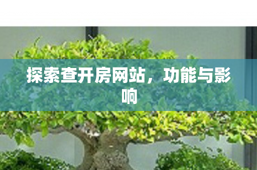 探索查开房网站,功能与影响 探索查开房网站,功能与影响