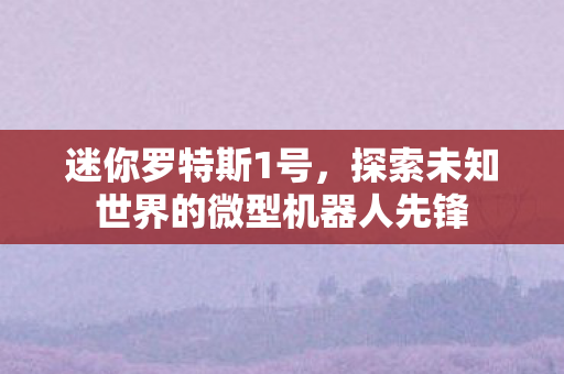迷你罗特斯1号，探索未知世界的微型机器人先锋