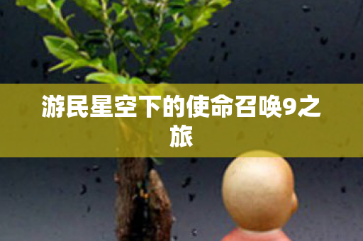 游民星空下的使命召唤9之旅 游民星空下的使命召唤9之旅