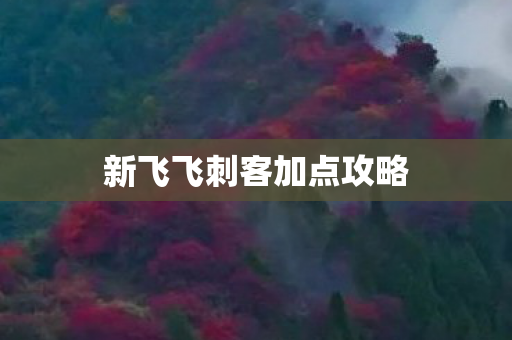 新飞飞刺客加点攻略 新飞飞刺客加点攻略