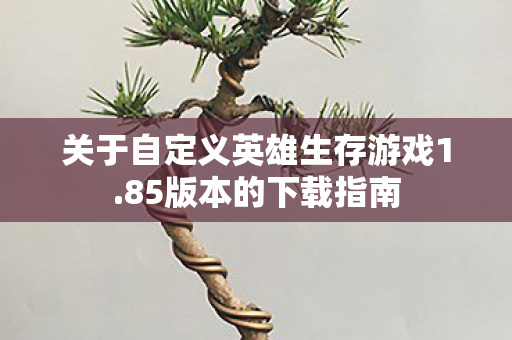关于自定义英雄生存游戏1.85版本的下载指南 关于自定义英雄生存游戏1.85版本的下载指南
