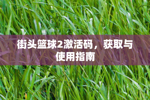 街头篮球2激活码,获取与使用指南 街头篮球2激活码,获取与使用指南