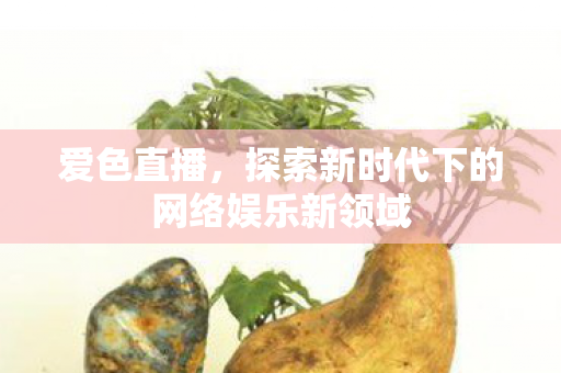 爱色直播，探索新时代下的网络娱乐新领域
