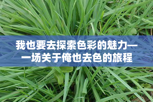我也要去探索色彩的魅力—一场关于俺也去色的旅程