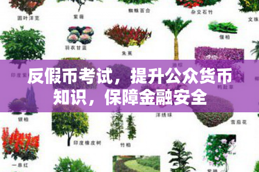 反假币考试，提升公众货币知识，保障金融安全